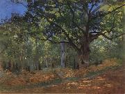 The Bodmer Oak,Forest of Fontainebleau, Claude Monet